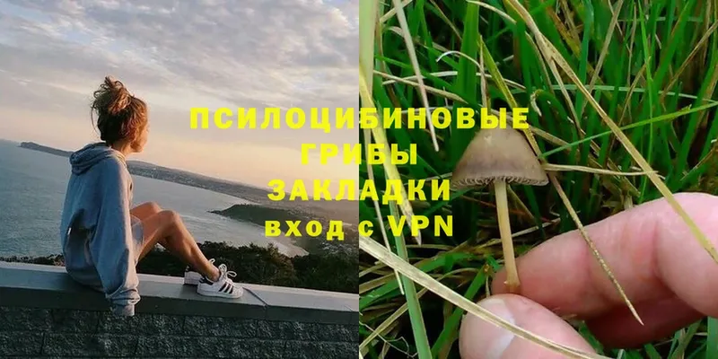 Галлюциногенные грибы MAGIC MUSHROOMS  Серов 